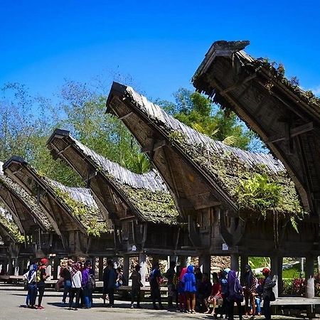 Wisma Papa Tia Toraja Tana Toraja ภายนอก รูปภาพ